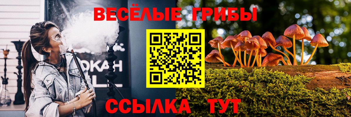 Галлюциногенные грибы Magic Shrooms  Псилоцибиновые грибы мухоморы  даркнет сайт  Вход с VPN  Губаха 