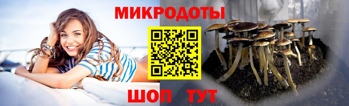 Псилоцибиновые грибы ЛСД Губаха